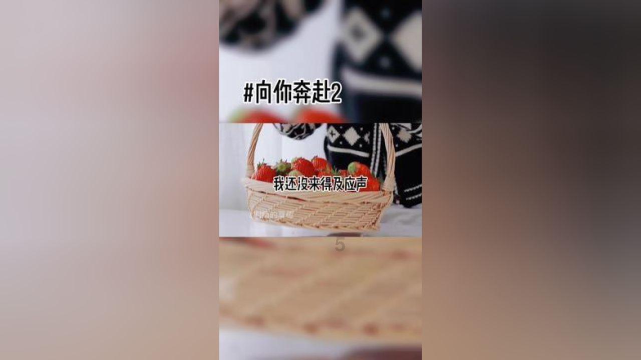 全民烧脑3去广告版